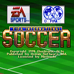 FIFA国际足球赛（欧版）