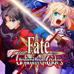Fate无限代码 携带版（美版）